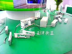 亞津傳感器秤 100t稱重磅與河南模塊秤的計算機軟硬件技術開發(fā)